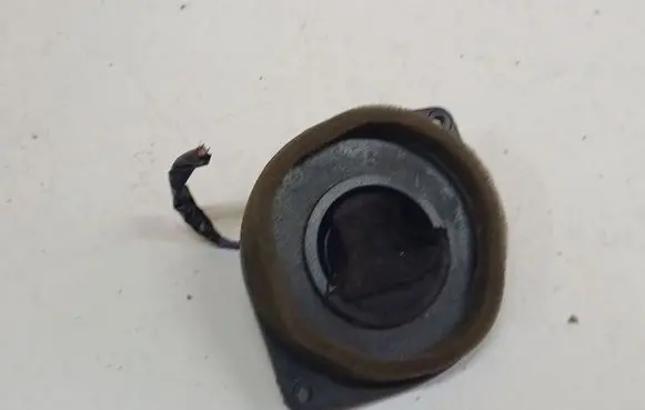 Chrysler PT Cruiser Front door speaker