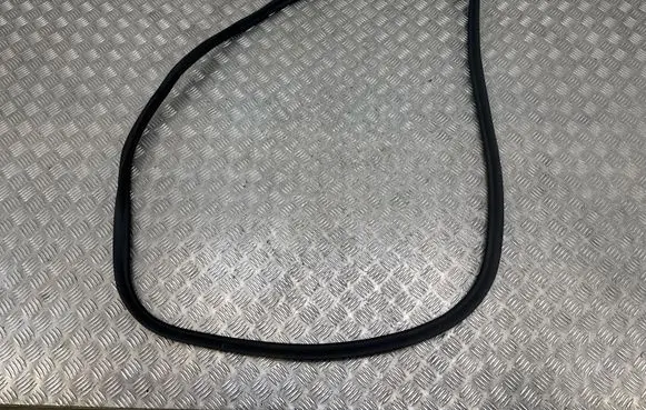 BMW 5 G30 G31 G38 Front door rubber seal 