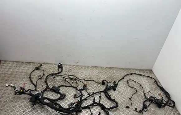 MG ZS Other wiring loom 11804890 35851249 35852742