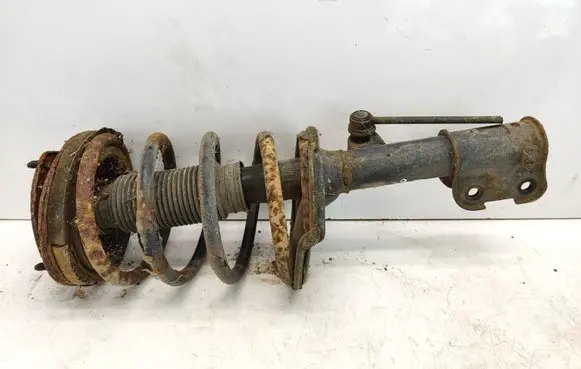 Hyundai Santa Fe Front shock absorber with coil spring