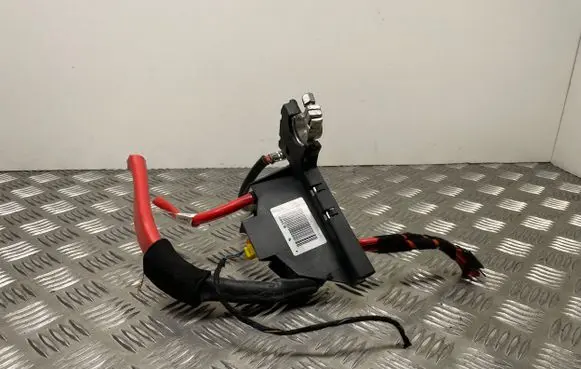 Positive wiring loom