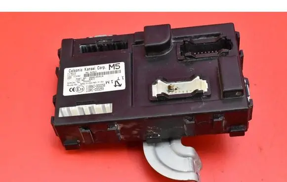Engine control unit/module ECU