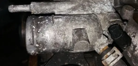 Mercedes-Benz C W202 Engine coolant pipe/hose