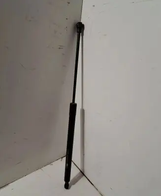Tailgate/trunk strut/damper