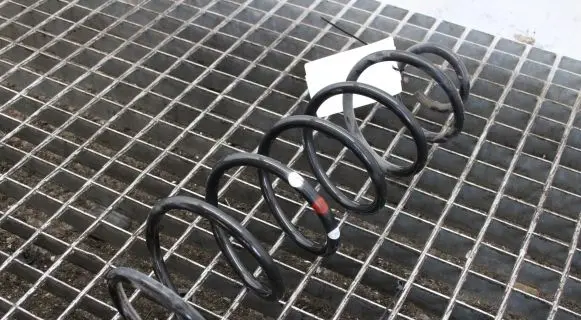 Citroen C4 Cactus Rear coil spring