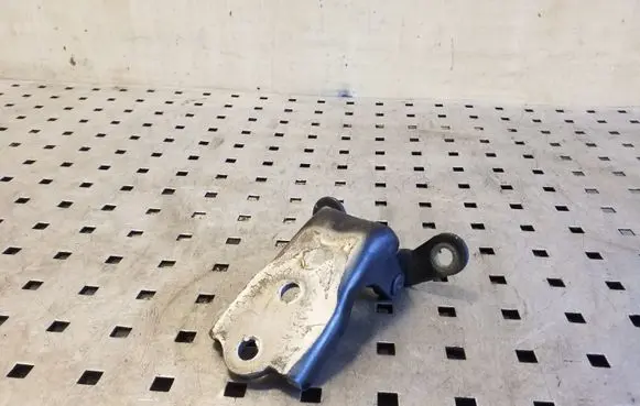 Chevrolet Captiva Front door lower hinge 