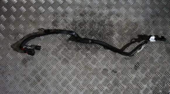 Audi A5 Other wiring loom 8W1971111C
