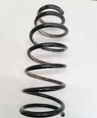 Rear coil spring