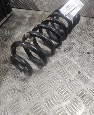 Rear coil spring