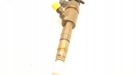 Peugeot Partner Fuel injector 0445110566