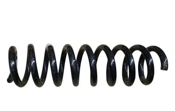 Rear coil spring