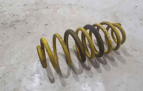 Rear coil spring