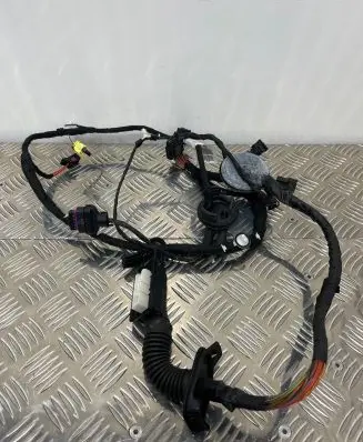 Audi A6 S6 C7 4G Front door wiring loom 4G5971030BG TAB010403AE