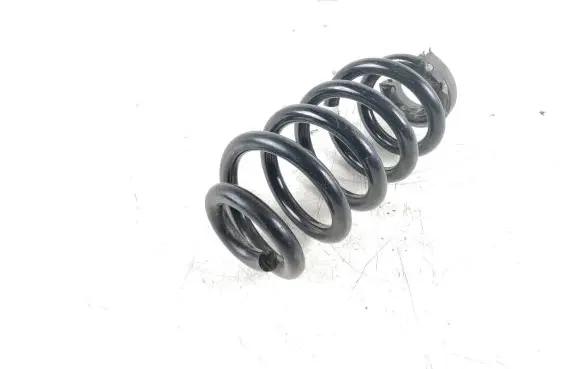 Volkswagen ID.4 Rear coil spring 1EA511103H