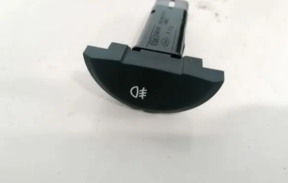 Fog light switch