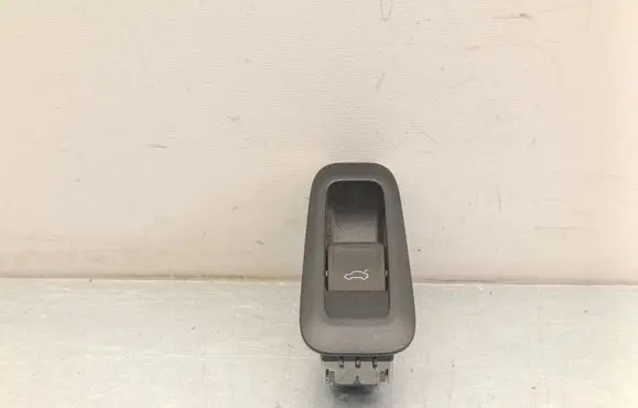 Skoda Enyaq iV Tailgate opening switch 5LA867425