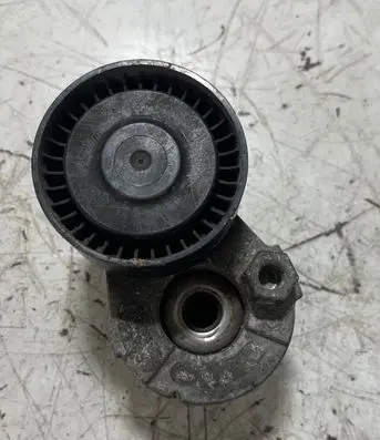 Nissan Qashqai+2 Alternator belt tensioner 1002602