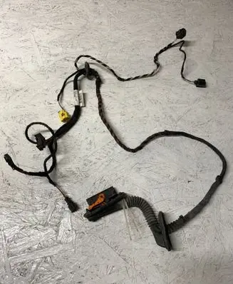 Volkswagen PASSAT CC Front door wiring loom 3C8971121BN TAB016612K 801039296
