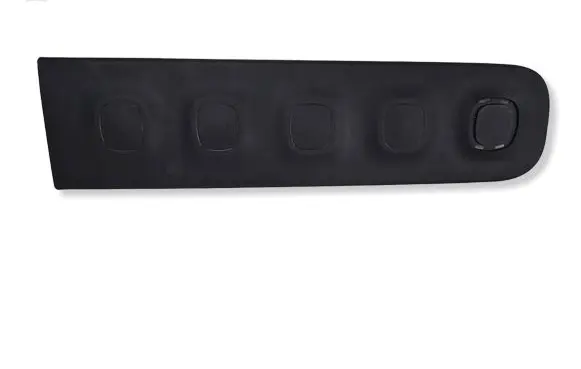 Citroen C3 Front door trim (molding) 9813090877
