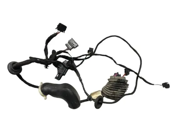 Other wiring loom