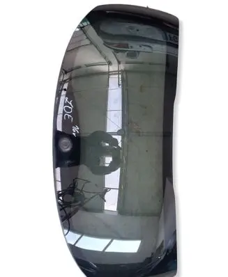 Renault Zoe Rear windscreen/windshield window 