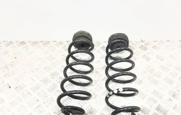 Rear coil spring