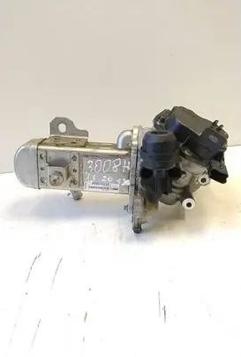 EGR valve