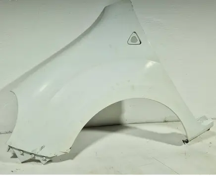 Renault Kangoo II Fender 631010288R