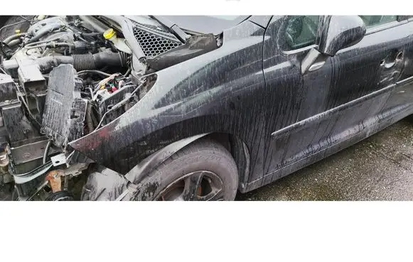 Peugeot 207 CC Fender 