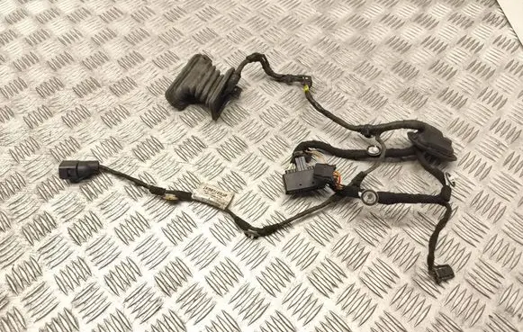 Volkswagen Golf V Rear door wiring loom 1K9971693R