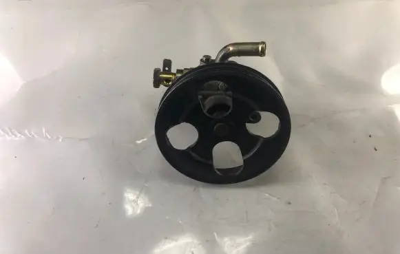 Mitsubishi Pajero Pinin Power steering pump