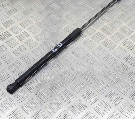 Tailgate/trunk strut/damper
