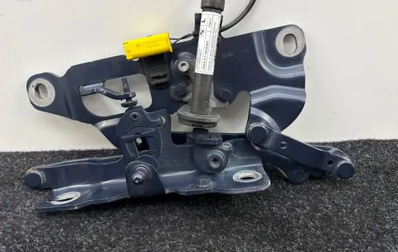 BMW 6 F06 Gran coupe Engine bonnet/hood hinges 7249887 7263055
