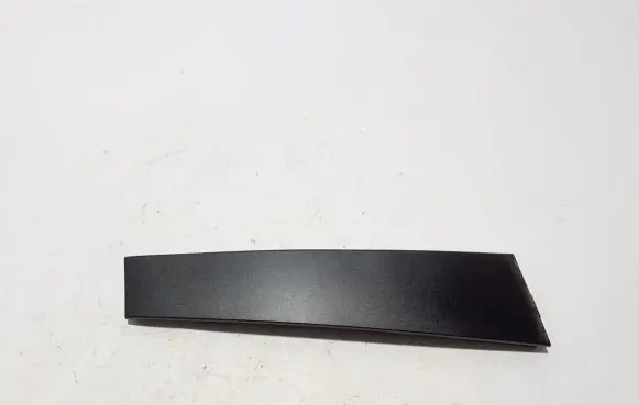 Rear door trim (molding)