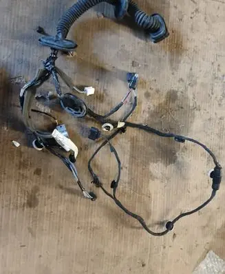 Renault Scenic IV - Grand scenic IV Front door wiring loom 241255444R