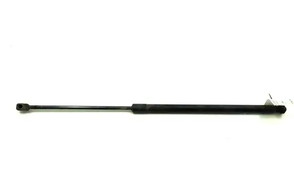 Tailgate strut