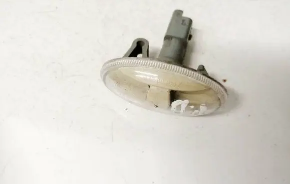 Front fender indicator light