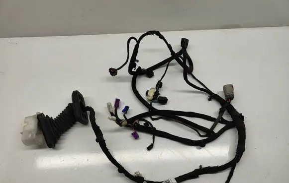 Dodge Challenger Front door wiring loom P68248655AB W2044NF218
