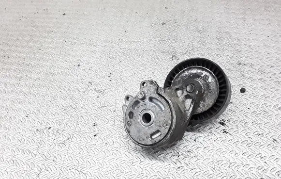 Citroen Xsara Generator/alternator belt tensioner