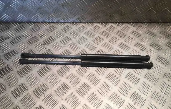 Land Rover Range Rover Sport L320 Front bonnet/hood damper/strut 8H2216E610AA LR009106