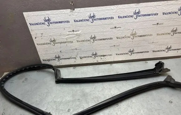 Peugeot 207 CC Front door rubber seal 