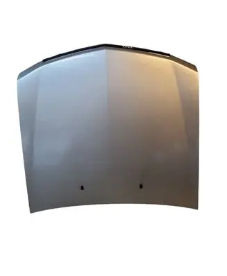 Cadillac CTS Engine bonnet/hood 