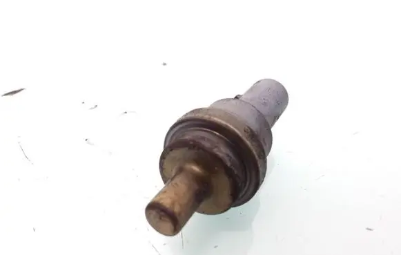 Seat Ibiza III (6L) Coolant temperature sensor 06A919501