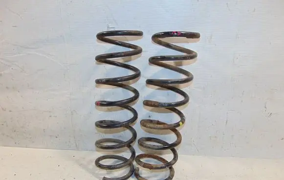 Rear coil spring