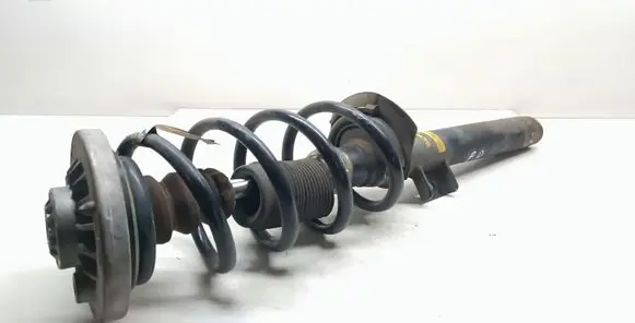 BMW X3 F25 Front shock absorber with coil spring