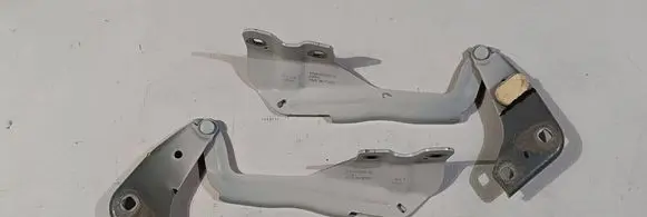 Ford Edge II Engine bonnet/hood hinges FT4BR16801A F7MA