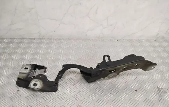BMW 2 F45 Engine bonnet/hood hinges 7300521