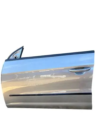 Volkswagen PASSAT CC Front door BRAK