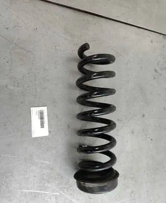 Rear coil spring