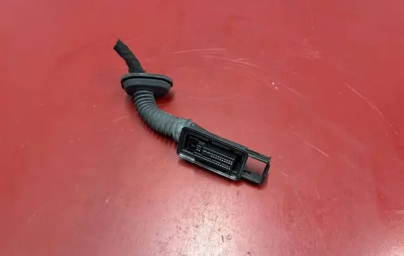 BMW X3 G01 Front door wiring loom 9221028